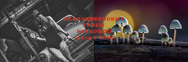 соль курить ск Медвежьегорск