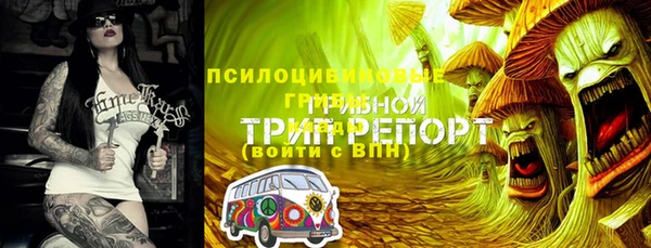 меф Медногорск