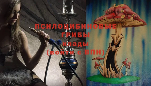 меф Медногорск