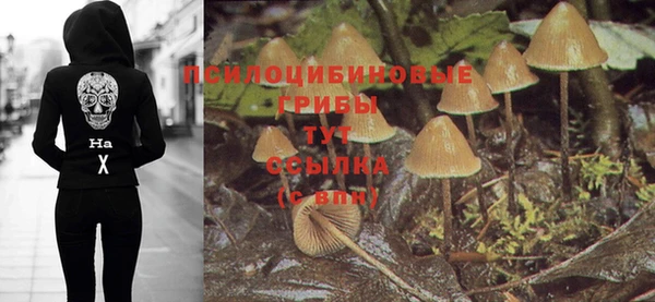 PSILOCYBIN Балахна