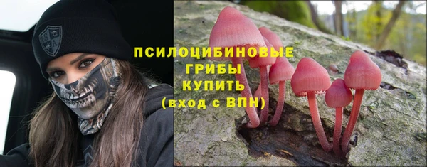 соль курить ск Медвежьегорск